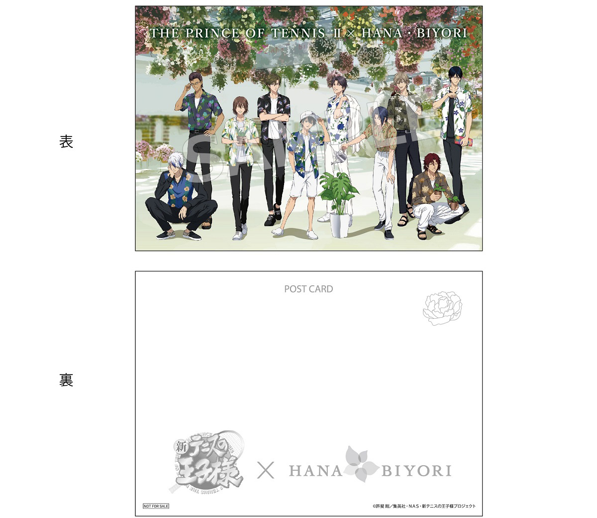 新テニスの王子様』× HANA・BIYORI コラボの新情報解禁！｜NEWS｜新 